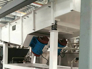 不銹鋼直線振動篩面粉篩分現場，產量5t/h
